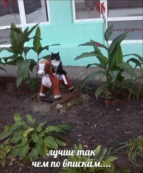 лучше так чем по