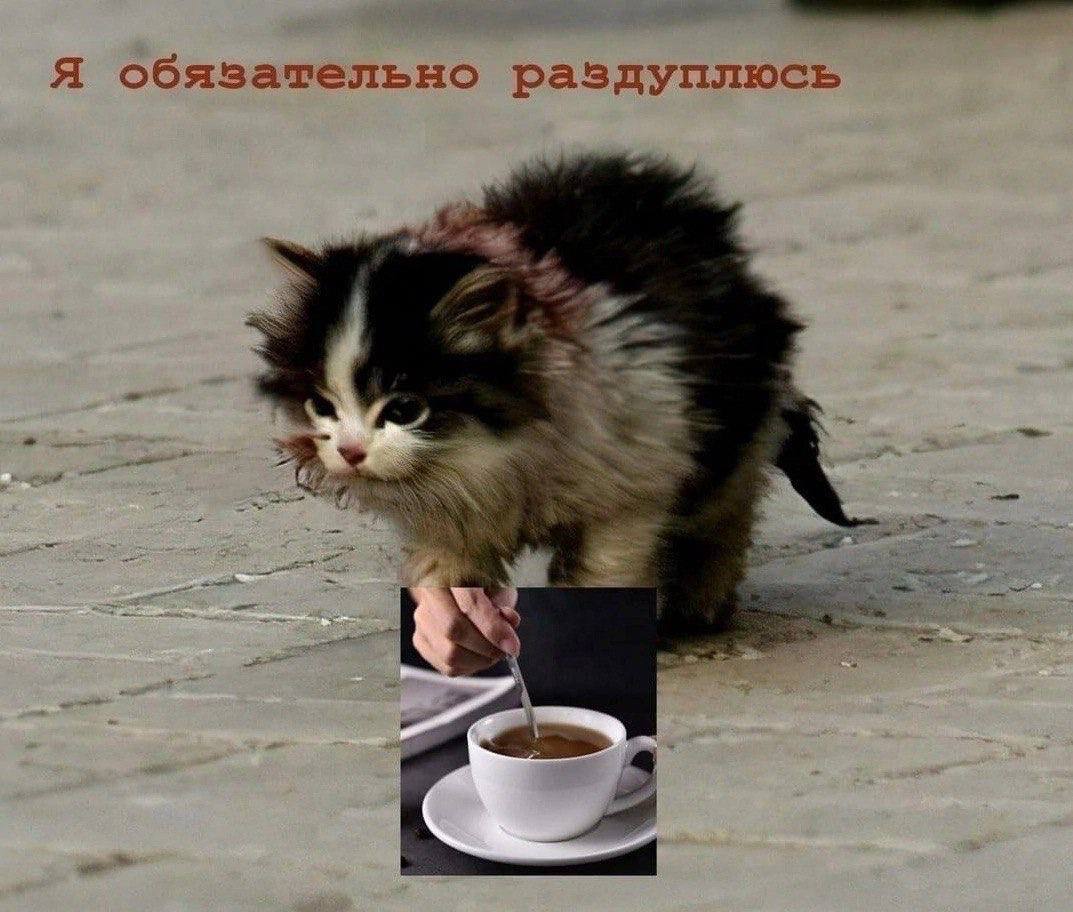 Я обязательно раздуплюсь