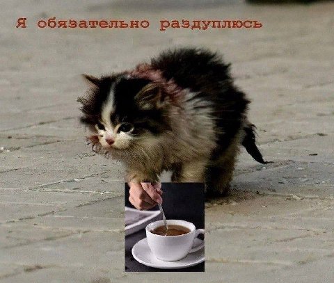 Я обязательно раздуплюсь