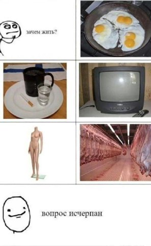 зачем жить? вопрос исчерпан