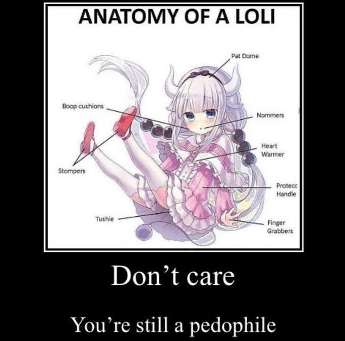 ANATOMY OF A LOLI Don’t care You’re still a pedophile