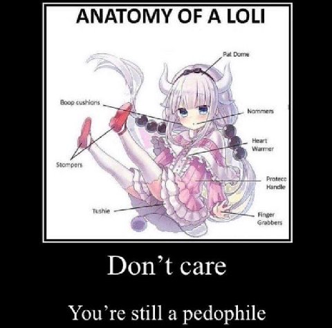 ANATOMY OF A LOLI Don’t care You’re still a pedophile