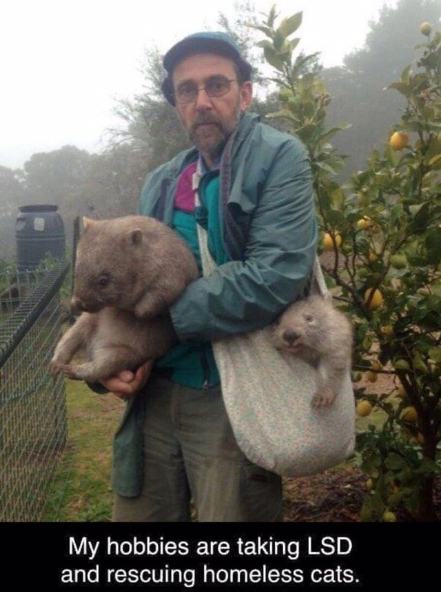 My hobbies are taking LSD and rescuing homeless cats.