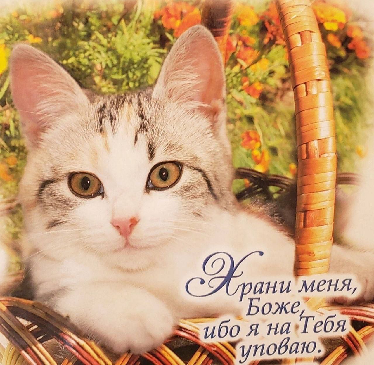 if igi AHU'MeHA, Бож ибо Тебя уповаю