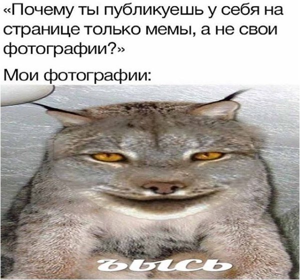 «Почему ты публикуешь у себя на странице только мемы, а не свои фотографии?» Мои фотографии: