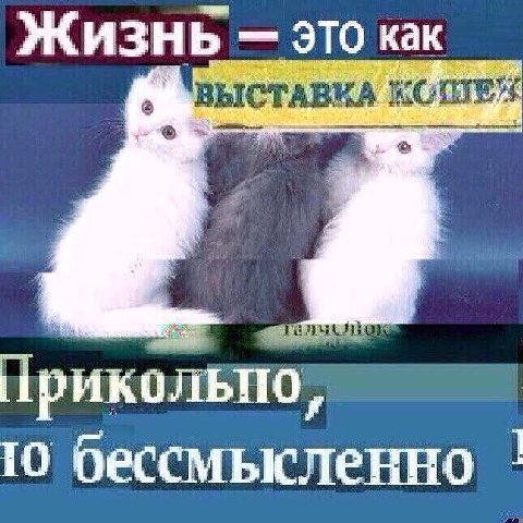 Жизнь ЭТО как ВЫСТАВКА 10