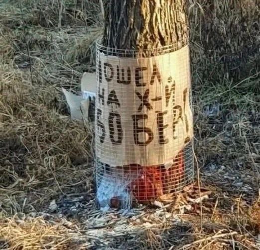 Я пердоле