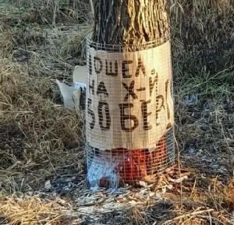 Я пердоле