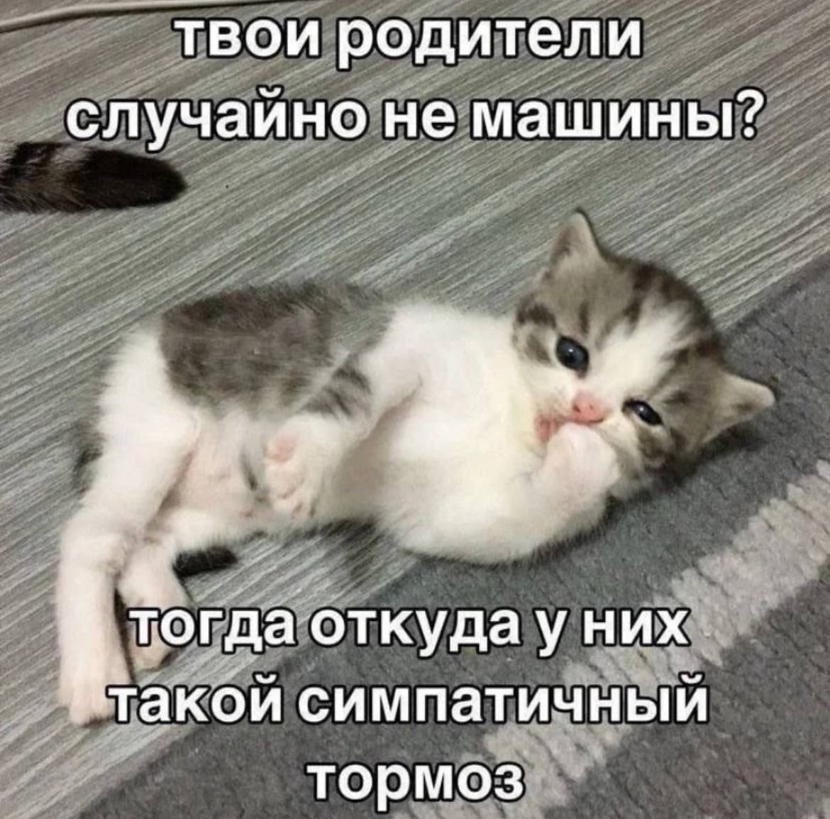 твои родители случаино не машины? Тогда откуда уних: такой симпатичный тормоз