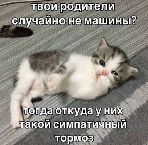 твои родители случаино не машины? Тогда откуда уних: такой симпатичный тормоз
