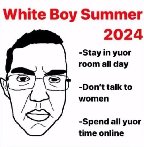 White Boy Summer 2024 -Stay in yuor room all day -Don't talk to women -Spend all yuor time online