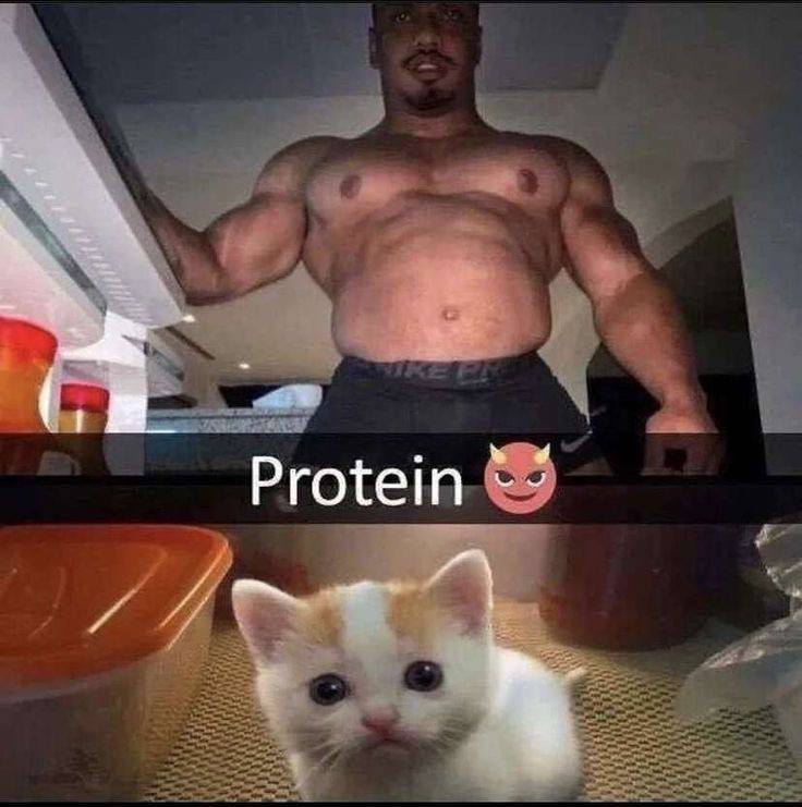 Protein
