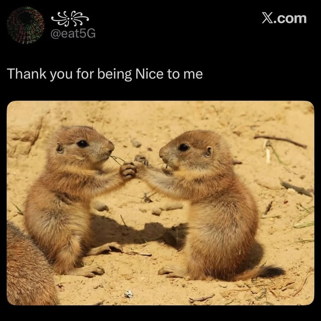 Thank you for being Nice to me