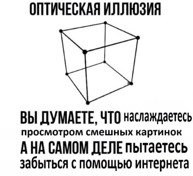 ОПТИЧЕСКАЯ ИЛЛЮЗИЯ ВЫ ДУМАЕТЕ, ЧТО наслаждаетесь просмотром смешных картинок АНА САМОМ ДЕЛЕ пытаетесь забыться с помощью интернета