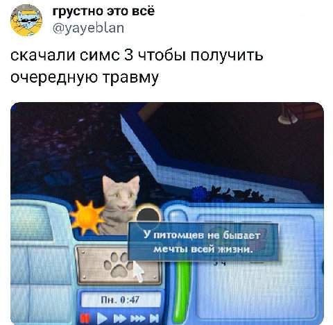грустно это всё @yayeblan скачали симс 3 чтобы получить очередную травму a А У питомцев не бывает мечты всей жизни. i 1