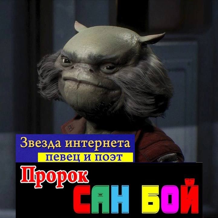 Звезда интернета