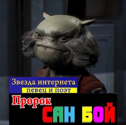 Звезда интернета