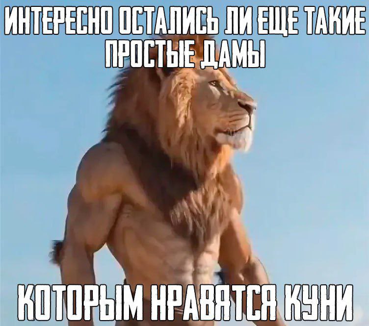 ИНТЕРЕСНО ОСТАЛИСЬ ЛИЕЩЕ ДАМЫ КОТОРЫМ
