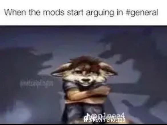 the mods start arguing #general