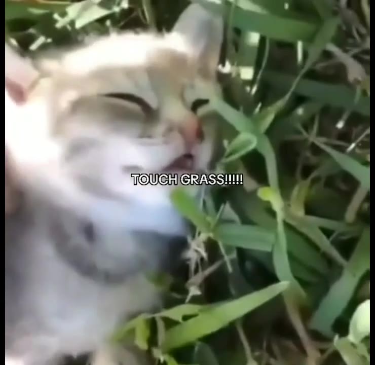 ПОС РАЗЗИИЬ |