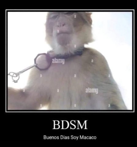 a BDSM Buenos Dias Soy Macaco