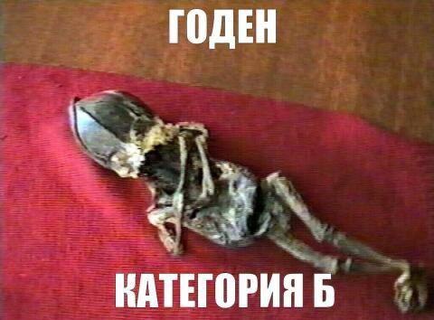 ГОДЕН НАТЕГОРИЯБ