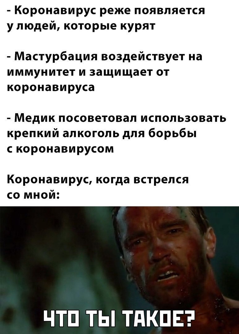 Коронавирус реже появляется улюдей, которые курят Мастурбация воздействует на иммунитет и защищает от коронавируса Медик посоветовал использовать крепкий алкоголь для борьбы с коронавирусом Коронавиру
