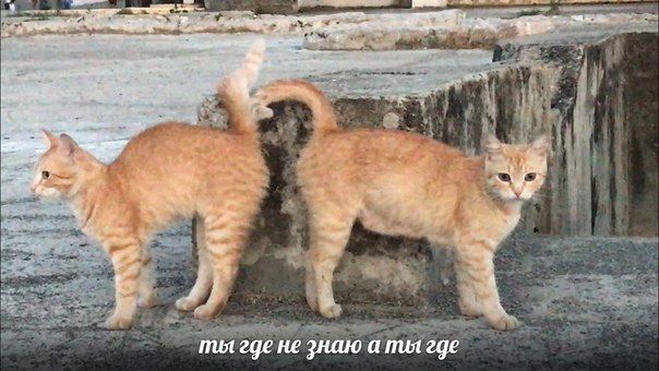 4. we I пил где не знаю а пил где