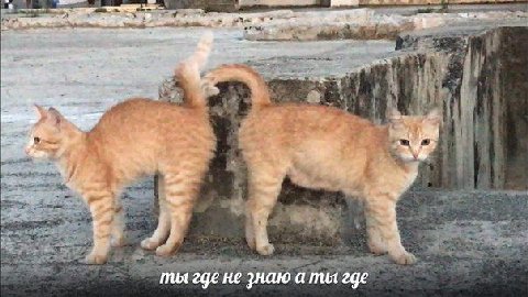 4. we I пил где не знаю а пил где