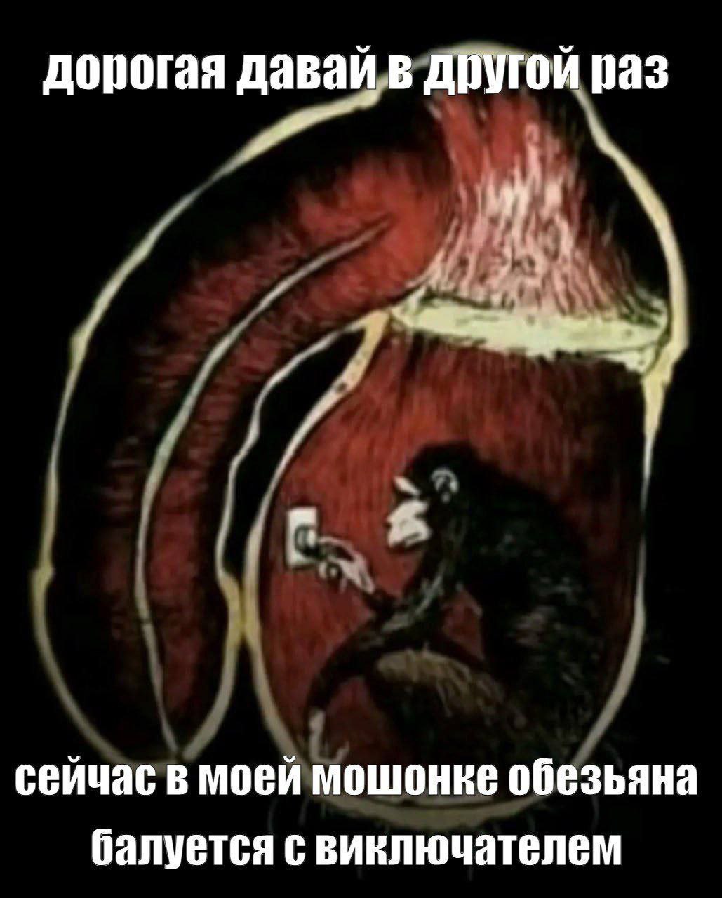 дорогая давай в другой раз сейчас в моей мошонке обезьяна балуется с виключателем