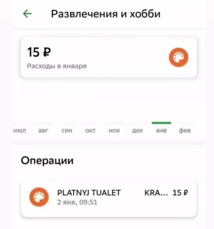 < — Развлечения и хобби Расходы в январе Операции PLATNYJ TUALET КВА... 152
