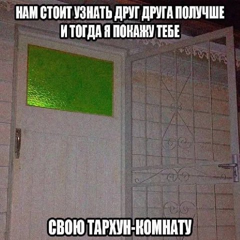 НАМ СТОИТ УЗНАТЬ ДРУГ ДРУГА ПОЛУЧШЕ ИТОГДА Я ПОКАЖУ ТЕБЕ СВОЮ ТАРХУН-КОМНАТУ