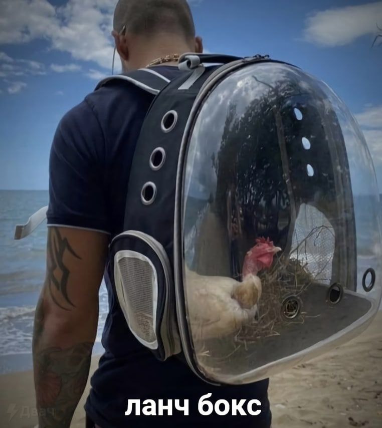 ланч бокс