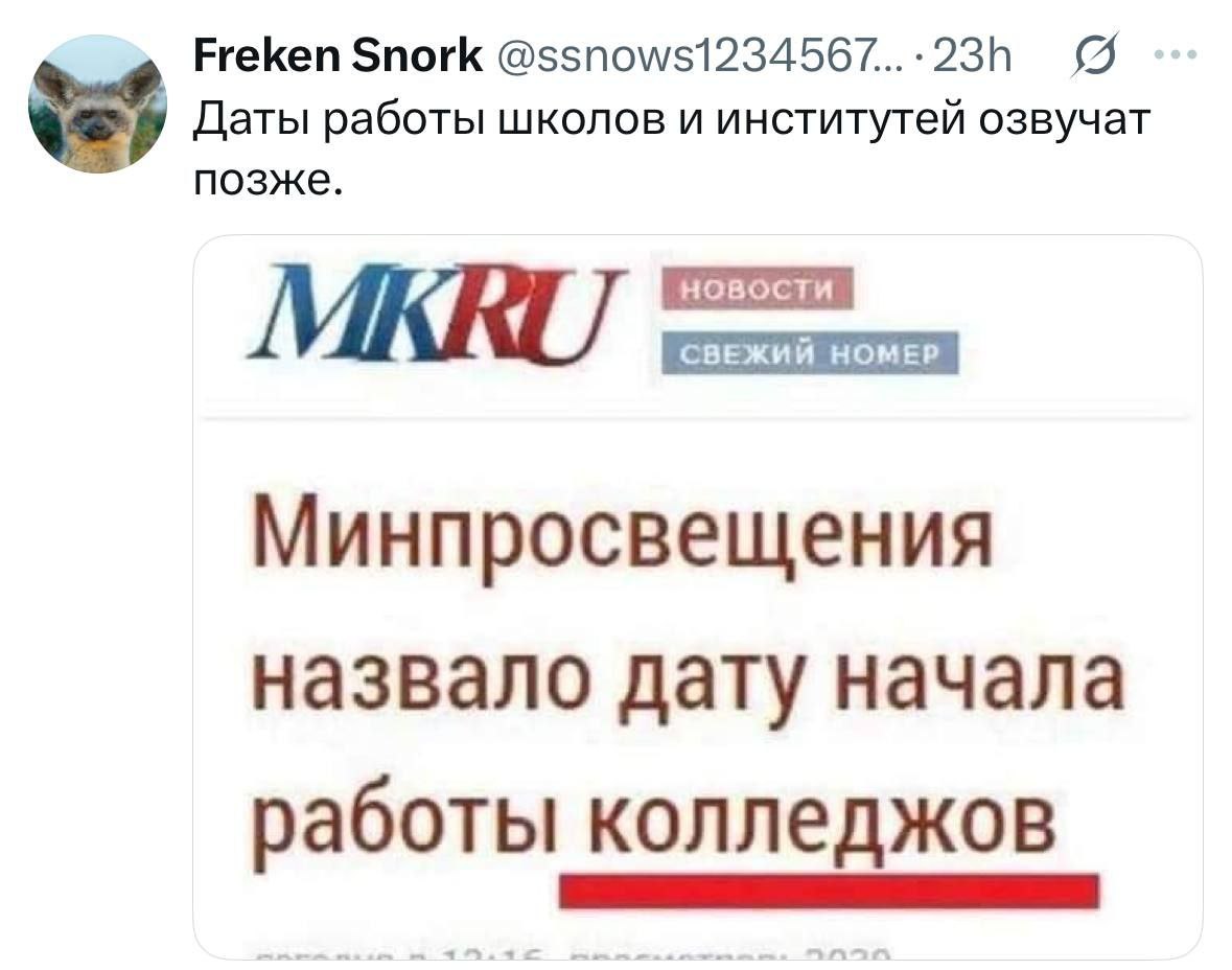 Freken Snork @ssnows1234567...:23h Даты работы школов и институтей озвучат позже. MIKRU СВЕЖИЙ НОМЕР НОМЕР Минпросвещения назвало дату начала работы колледжов