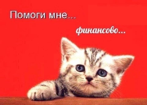 Помоги мне... финансово
