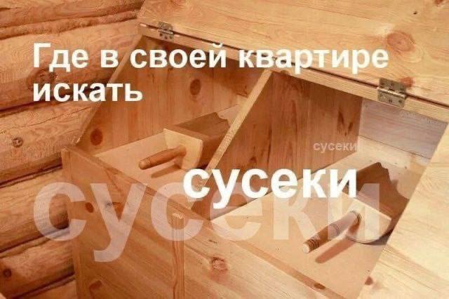 Где в своей квартире искать сусек