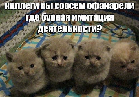 коллеги вы совсем офанарели где бурная имитация деятельности?