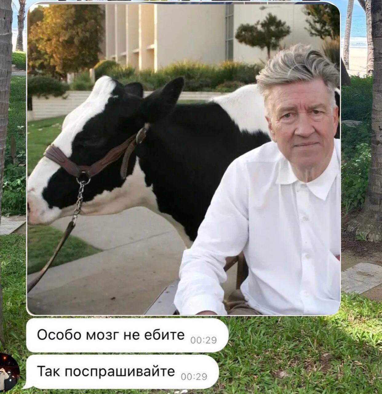 Особо мозг не ебите Так поспрашивайте