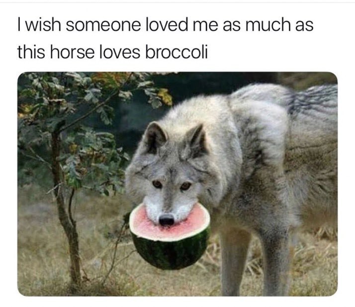 wish someone loved as much as this horse loves broccoli