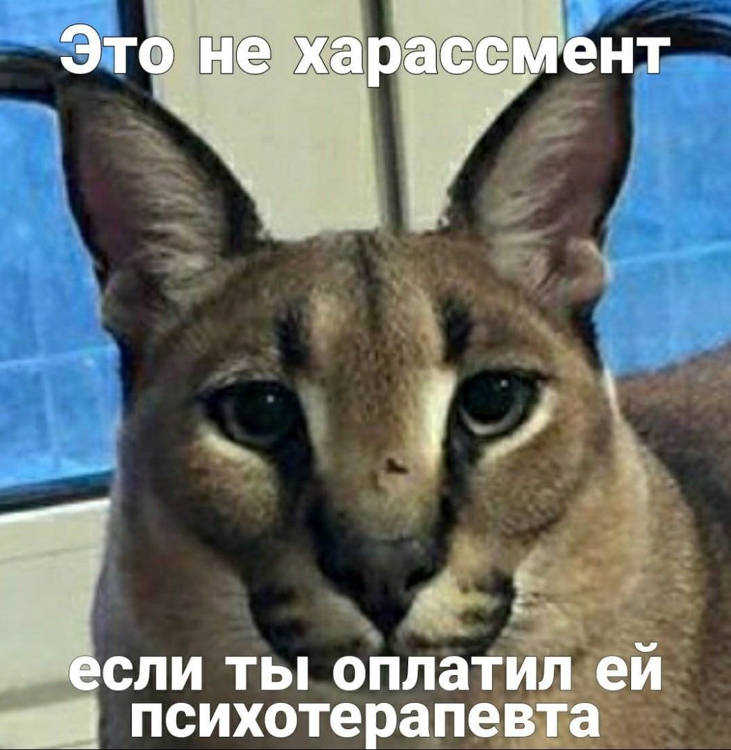 Это не харассмент 7 если ты оплатил психотерапевта