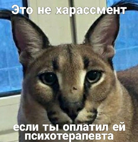 Это не харассмент 7 если ты оплатил психотерапевта