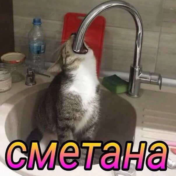 тан a