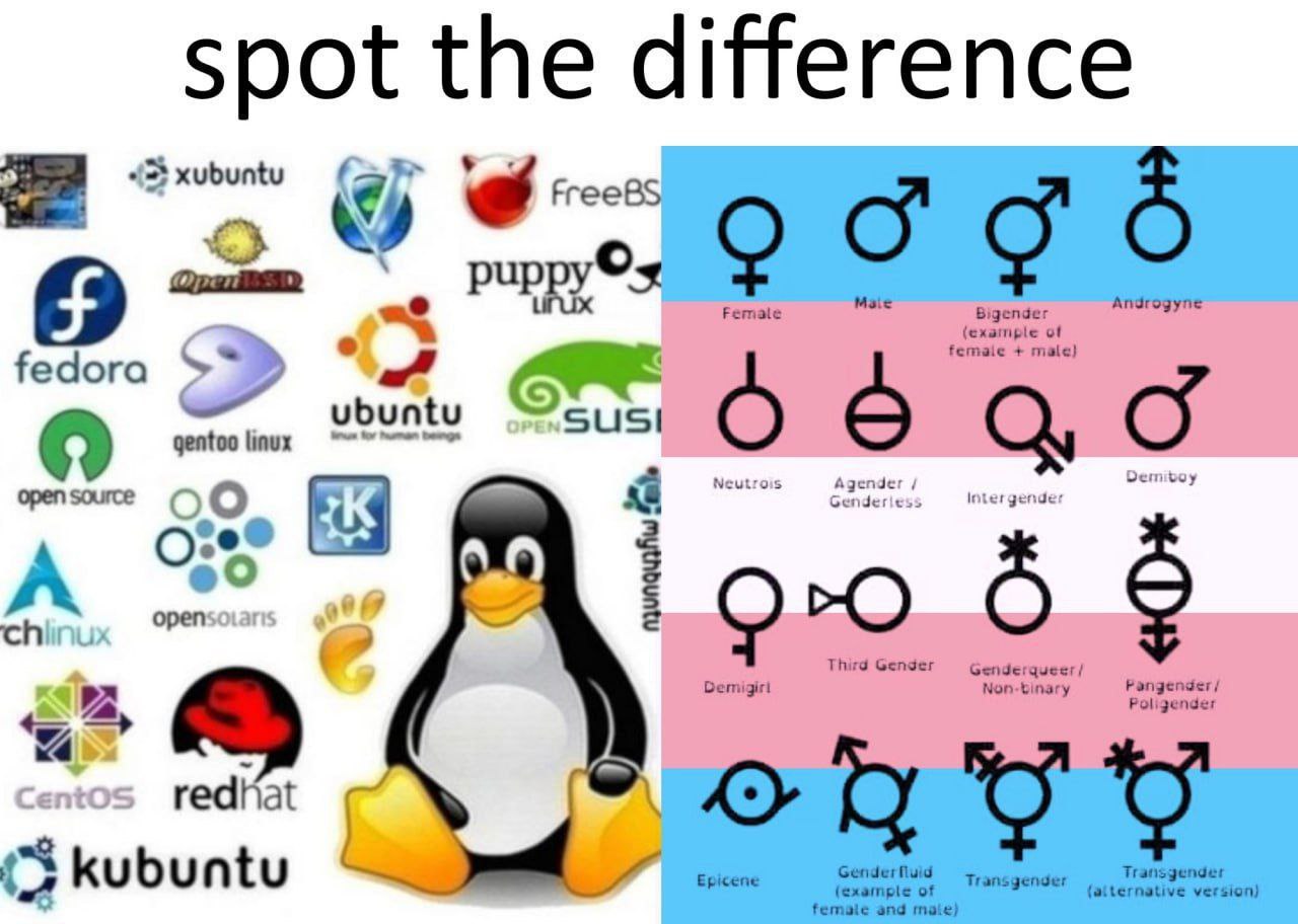 spot the difference 3 xubuntu 4 Joa puppy©x fedora fem. gentoo linux ubuntu Open source о open Polig kubuntu Epice and mate) (att
