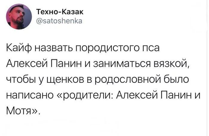 Техно-Казак @satoshenka Кайф назвать породистого пса Алексей Панин и заниматься вязкой, чтобы у щенков в родословной было написано «родители: Алексей Панин и Мотя».