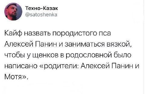 Техно-Казак @satoshenka Кайф назвать породистого пса Алексей Панин и заниматься вязкой, чтобы у щенков в родословной было написано «родители: Алексей Панин и Мотя».