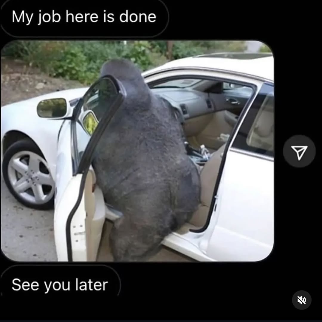 job here is done А У 7 See you later