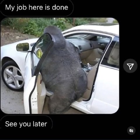job here is done А У 7 See you later