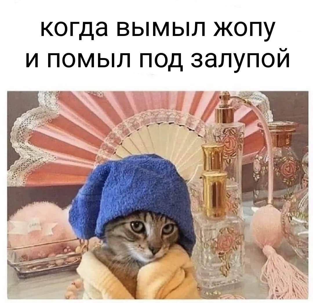 когда вымыл жопу И ПОМЫЛ ПОД залупой