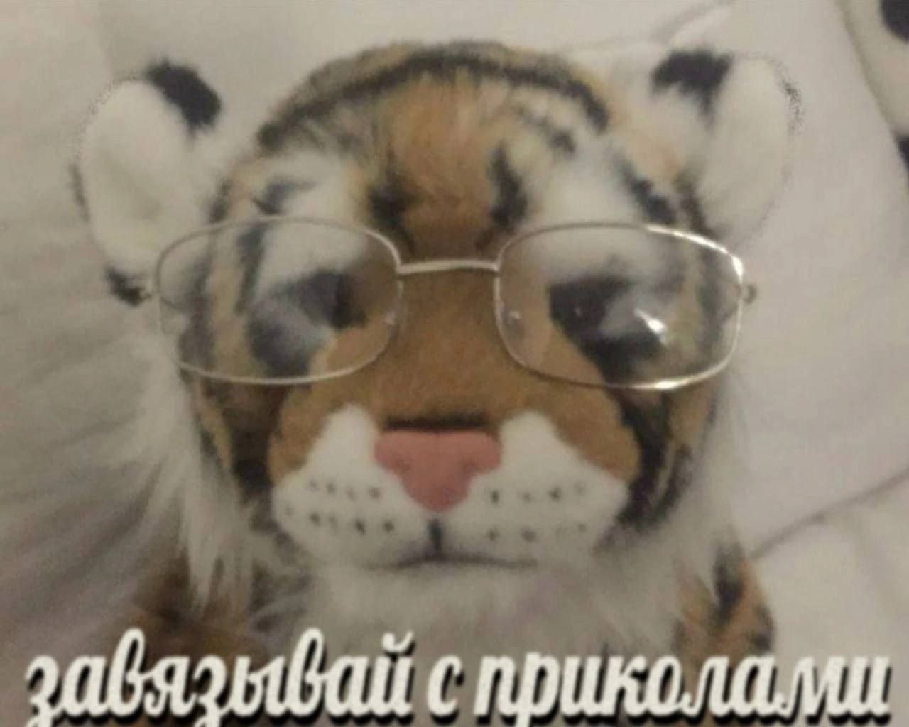 забяз с приколами