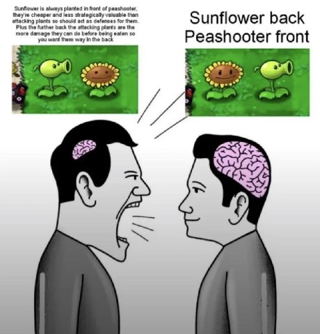 Sunflower is always planted in front of peashooter. attacking plants so should act as defenses for them they're cheaper and less strategically valuable than Sunflower back Plus the further back the at
